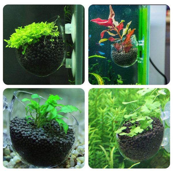 

fish tank water grass landscape cup cultivation cup fish culture water grass cultivation pot home fish tank decoration jllgej