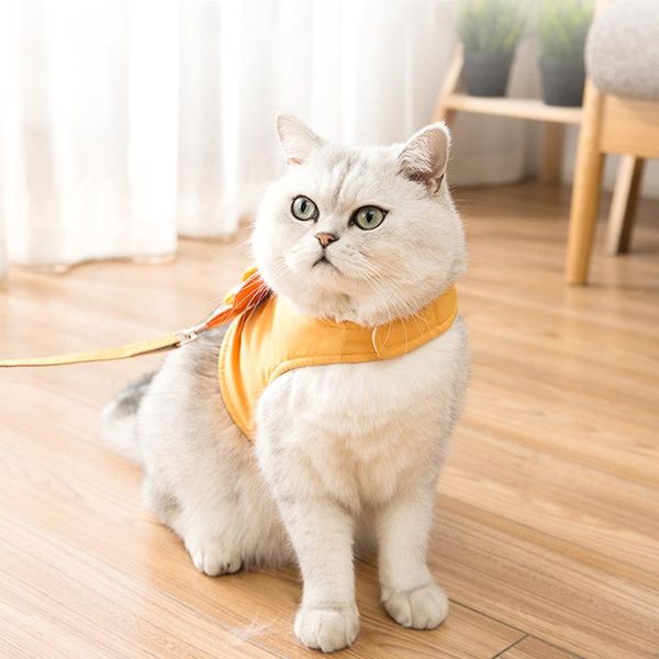 

dog collars & leashes cute lion vest chest strap traction rope anti-break leash harness cat accessories pet clothing for small medium animal