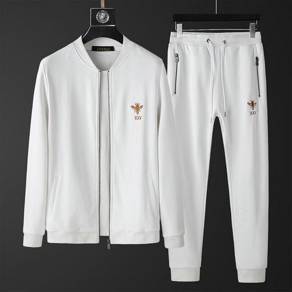 

20fw mens women designer tracksuits sportswear bee snake pa gui suits hoodies pants canada sweater goose jacket hoodie shoes bag 06, Gray