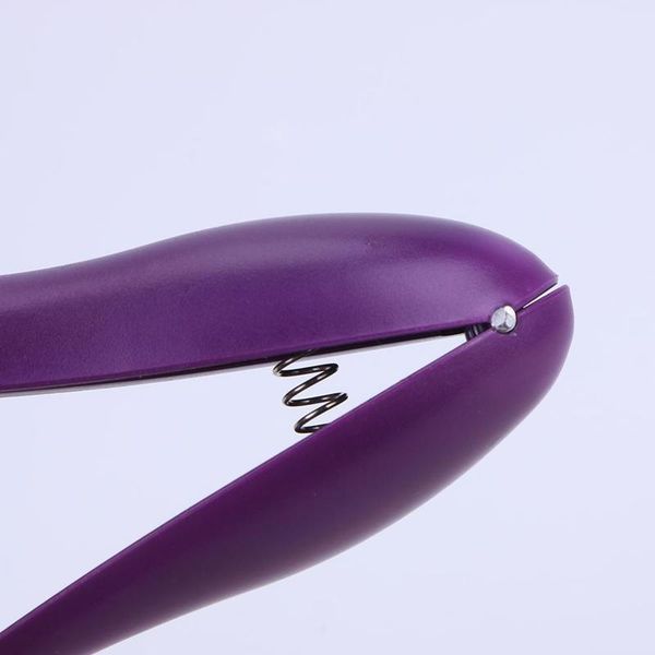 

1pcs cherries pitter fruits tools cherry seed removers enucleate stainless steel cherry gadgets kitch bbyxdm