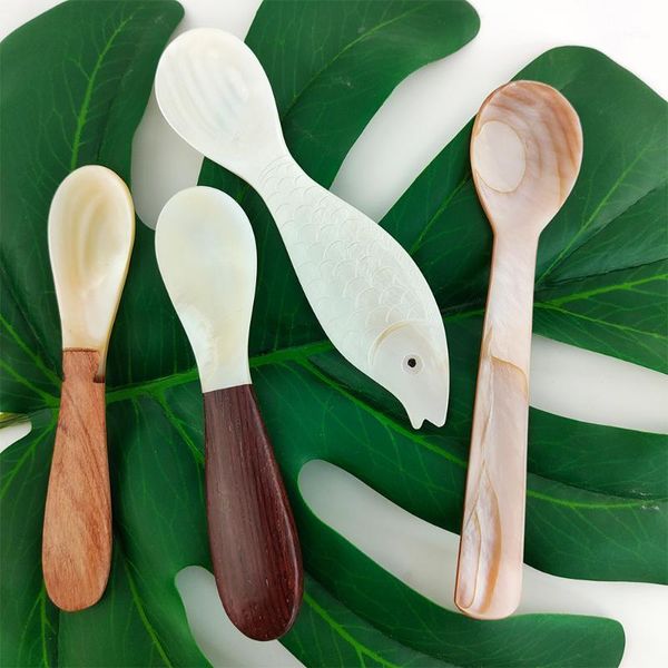 

spoons shell spoon deep sea tableware home seasoning box brown tablespoon1