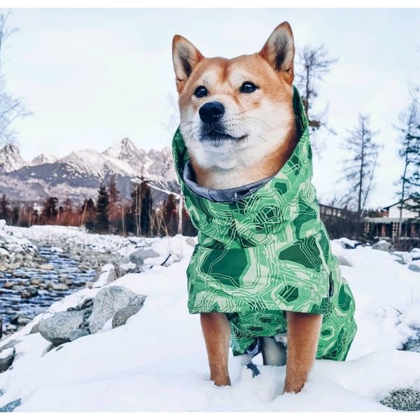 

new autumn and winter cotton snow warm keep warm waterproof large dog dog dog coats cold protection wmtmlc five2010