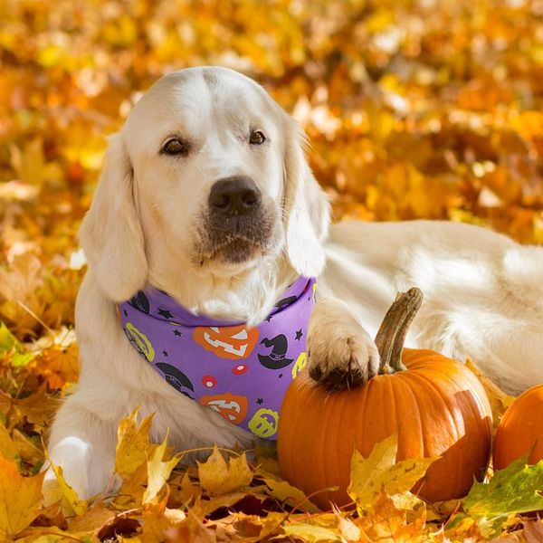 

halloween dog cat bandana collar scarf pet dog accessories neckerchief small large dogs bibs cotton pet tie grooming wmtgrv