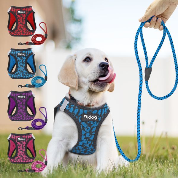 

it is suitable for small medium-sized dogs, cats, chihuahua and puppies