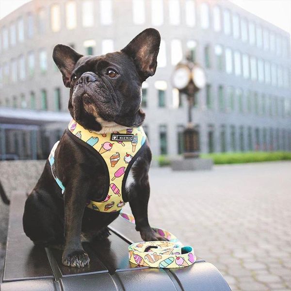 

pet harness for french bulldog small medium dogs leashes pug puppy frenchie pet harness vest walking dog lead leash pet products wmtegy