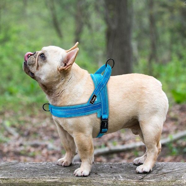 

nylon reflective pet dog harnesses vest soft flannel padded no pull strap harness for walking training small medium la wmtanp
