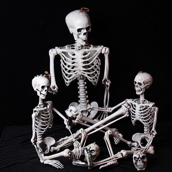 Máxima fornecedor 1 PCS Halloween Prop Skeleton Humano Crânio Full Life Life Body Anatomy Model Decorações para Halloween D3 201028