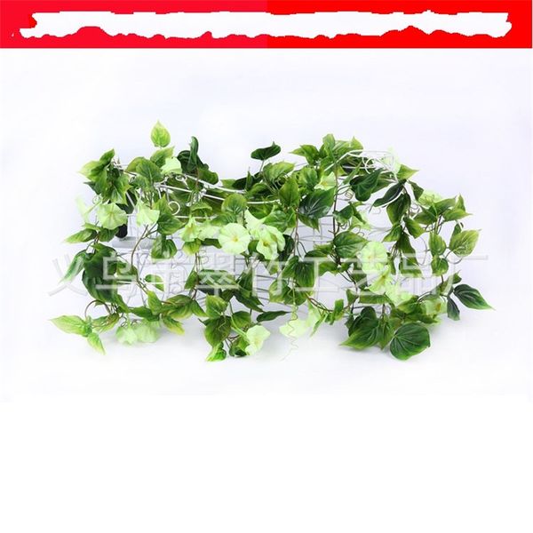 

high simulation encryption flower vine morning glory leaf hanging vines home furnishing decorate popular sell well with various style 6cz j1