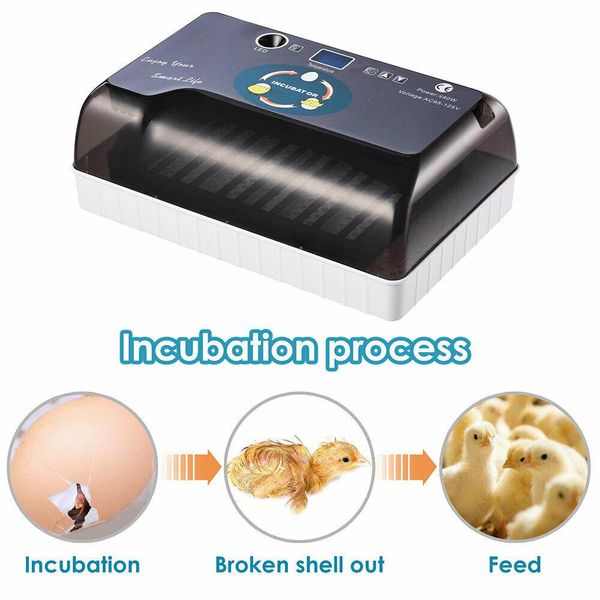 

12 eggs incubator automatic digital farm duck chicken hatcher turning led lamp