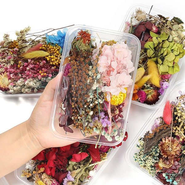 

1box random mix style dried flowers decoration natural floral sticker beauty nail art decals epoxy mold diy filling jewelry h bbyhuu