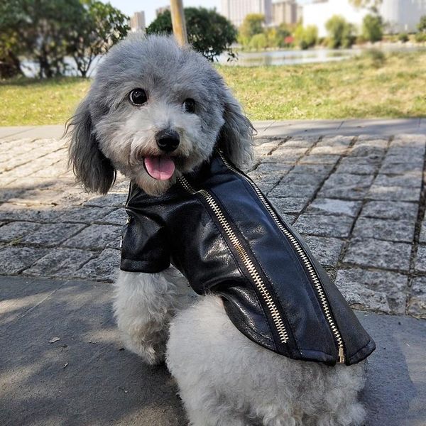 

warm dog coat clothes winter french bulldog clothes waterproof pet jacket vest for chihuahua pug pets dogs clothing ro bbygfj