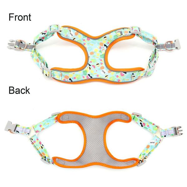 

new fashion nylon dog harness leash set reflective fruit printed dog vest leash for medium large dogs french bulldog sqcfst