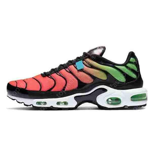 blue hex tns