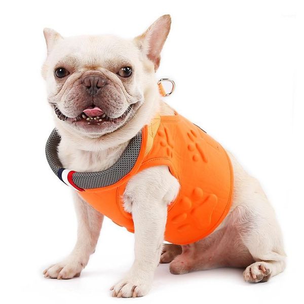

dog vest type harness collar breathable cat universal harness adjustable pet vest martingale training collar small dog1