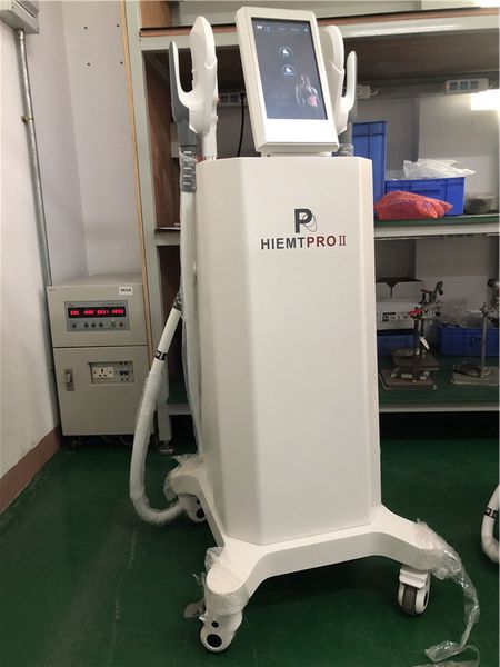 

vertical non-invasive high intensity electromagnetic ems muscle stimulator fat reduce weight loss and body slimming muscle, Black;white