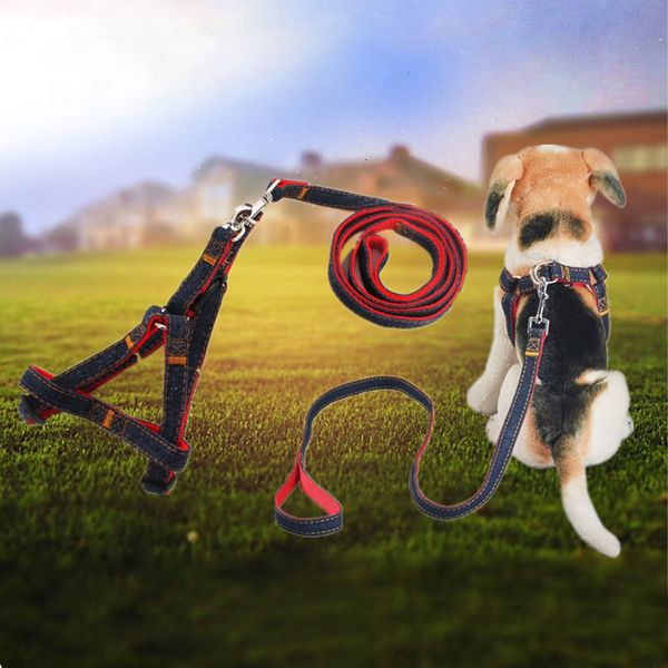 

chain harness pet adjustable cowboy with rope dog nylon leash for puppy blue pink