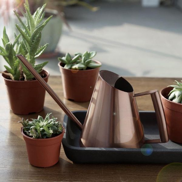 

watering equipments painted stainless steel large capacity succulents outdoor garden can sprinkling long spout office retro indoor plants