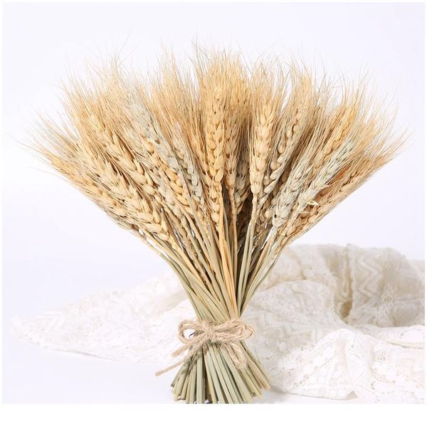 

23cm real wheat ear flower natural dried flowers for wedding party diy table decor craft scrapbook home decor wheat jllezk
