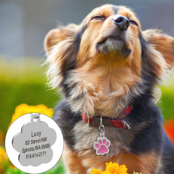 

custom dog tag personalized pet dog collar accessories engraved cat puppy id tag stainless steel paw nametag pendant a bbyyos