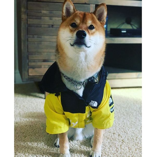 

сша национальный флаг мода ветрозащитный непромокаемые собака собака большая собака плащи pet куртки wmtduk mywjqq