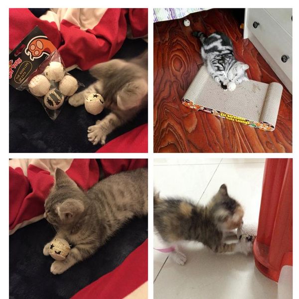 

4pcs/pack ball cat toy interactive cat toys play chewing rattle scratch catch pet kitten cat exrecise t sqcenn