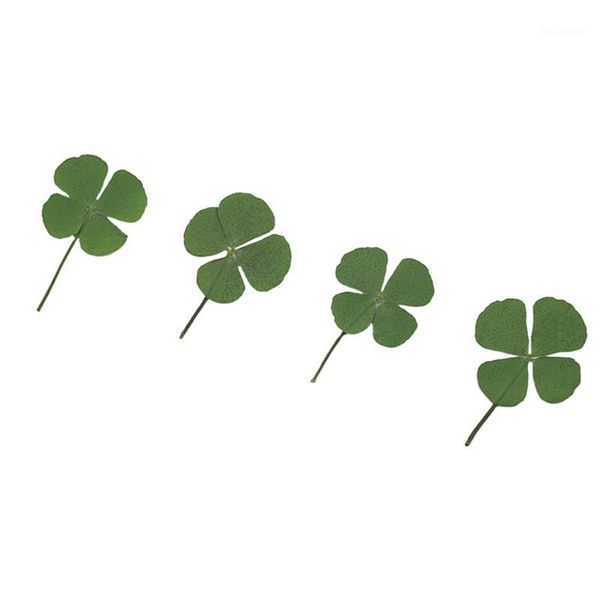 

decorative flowers & wreaths 250pcs pressed dry four-leaf clover leaf plant pendant necklace jewelry production process diy accessories1