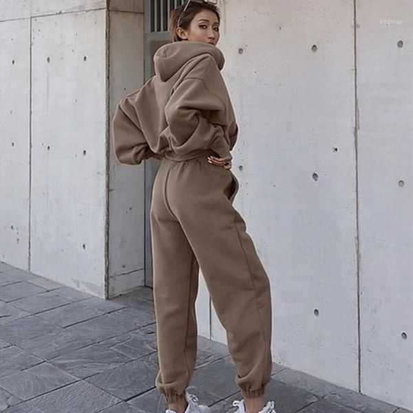

autumn winter two piece set tracksuit women joggers 2 piece sets hooded sweatshirt pants fleece outfits sweatpants women1, Gray