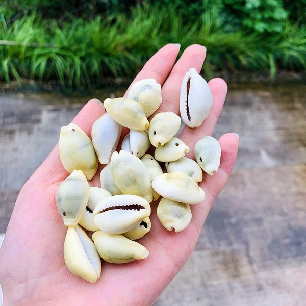 

20pcs 24 30mm natural shell conch beads decor sea shells diy jewelry accessories handmade necklace shells for jewelry making h jllvyc