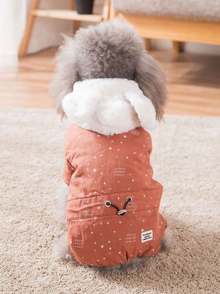

cartoon hat printed cloth thickened four legged teddy bomey bear small dog autumn and winter coat