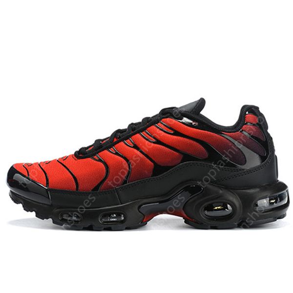 blue hex tns