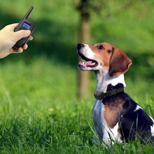 

remote electric dog collar pet shock vibration dog training collar rechargeable waterproof anti barking device with lcd wmtsji