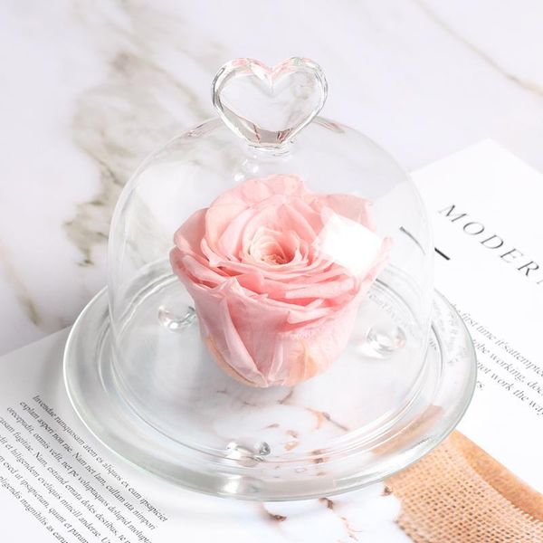 

decorative flowers & wreaths forever flower in glass dome preserved eternal real rose present gift thanksgiving day birthday anniversary val