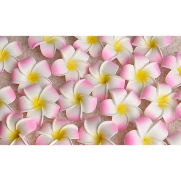 

100pcs 7cm wholesale plumeria hawaiian foam frangipani flower for wedding party hair clip flower bou jlllbf eatout