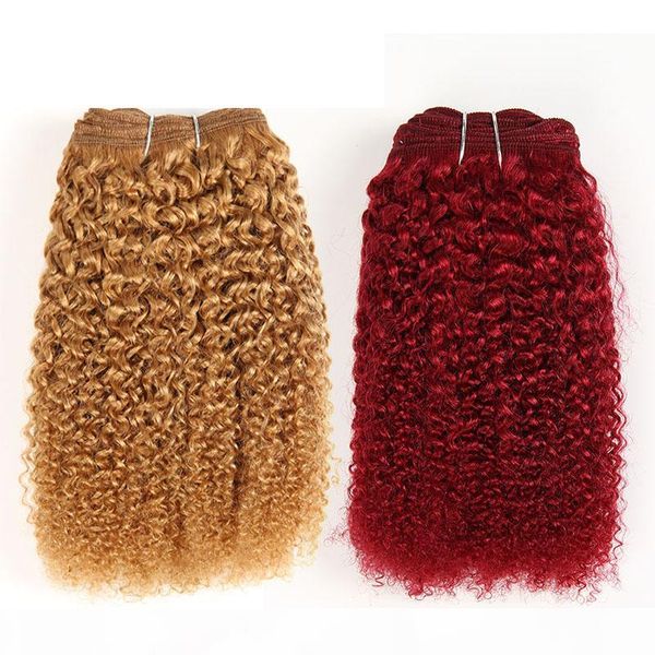 

afro kinky curly human hair bundles colored brazilian virgin hair bundles remy hair extensions wefts 10-28 inch, Black