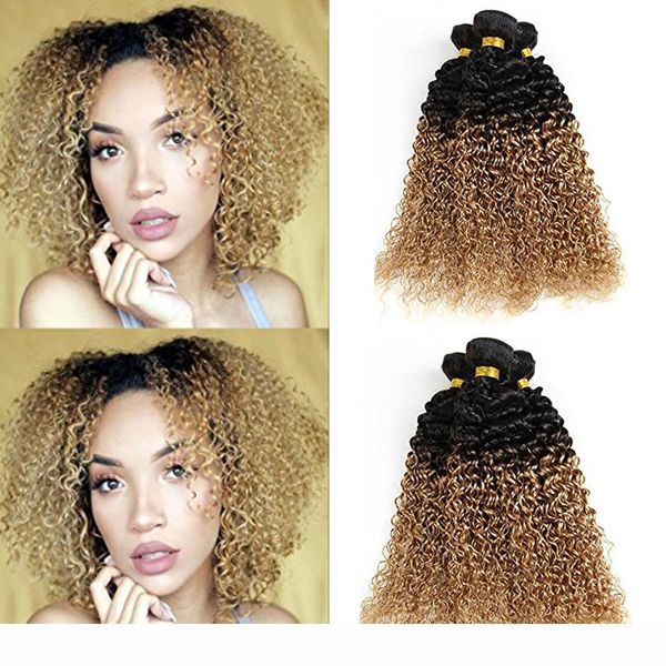 

ombre human hair extensions 8a brazilian kinky curly hair 1b 27 3 bundles 2 tone ombre kinky curly wave hair weave ing, Black;brown