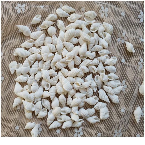 

happykiss natural ornament conch shells white jade snail the white cat's eye screw the mediterranean home decoration a jllwqu