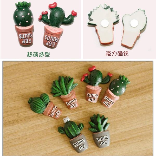 

wholesale cute succulent plants cactus flower fridge magnet refrigerator magnetic stickers home decoration children gifts toys wmtddc