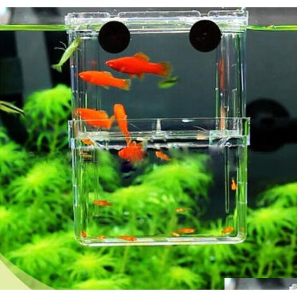 

multifunctional fish breeding isolation box hanging fish tank incubator aquarium fish breeding incubator floating hatcher mini aquarium rnu