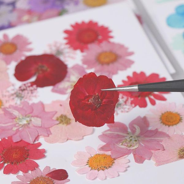 

new diy flowers, dried flowers, matching materials, children's handmade plant specimens, p studio props jllnhq