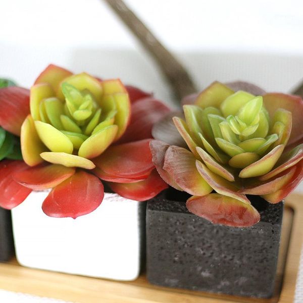 

decorative flowers & wreaths artifical plastic succulent plant cactus echeveria flower home office decor gift artificial plants kunstplanten