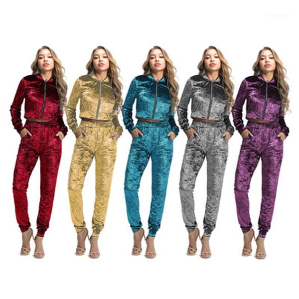 

female spring slim elastic waist tracksuits women solid color sets fashion trend golden velvet long sleeve zipper lapel pants suits, Gray