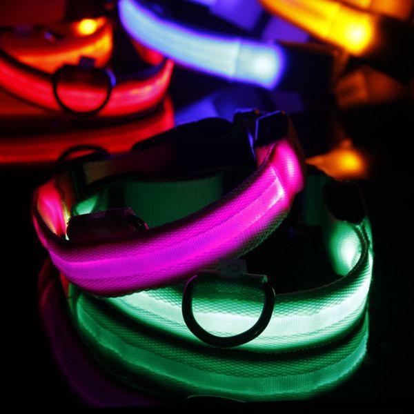

flash collar cat flashlights dibo america huskies teddy large dog collars s m l xl emitting led pet supplies