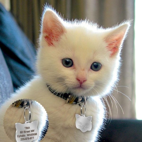 

custom pet id tags stainless steel personalized dog cat tag engraved dogs pets collar accessories bone round name p wmtwhw