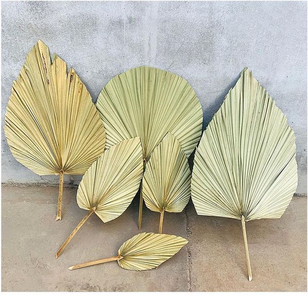 

1pcs palm fan leaf dried flower palm leaf window reception party diy art wall hanging decoration for wedding arch arr jllcfy