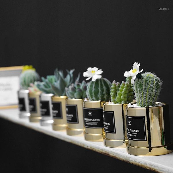 

xuanxiaotong big 3d cactus potted artificial green plants bonsai for home balcony decoration plante artificielle1