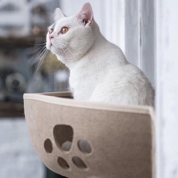 

cat beds & furniture cats pet window bed perch hammock seats for