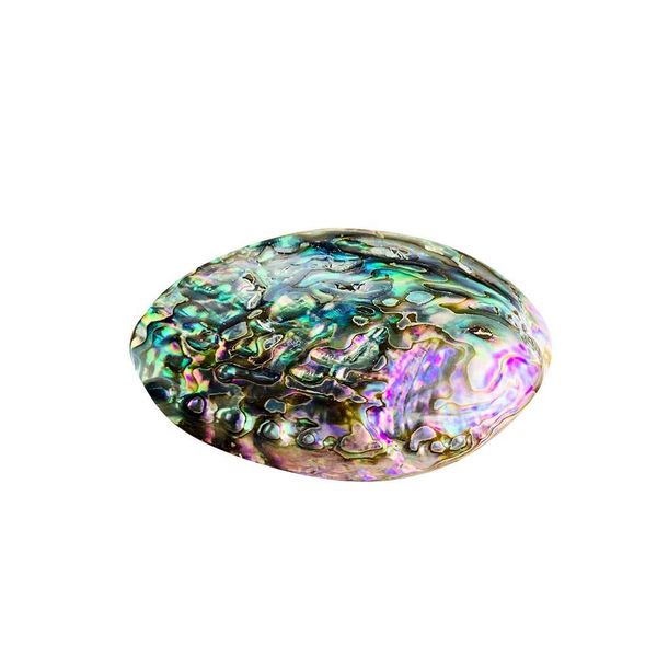

2pcs natural abalone shell pendants charms single side mother of pearl shell diy gifts pendants for jewelry making accessories h bbyzwh