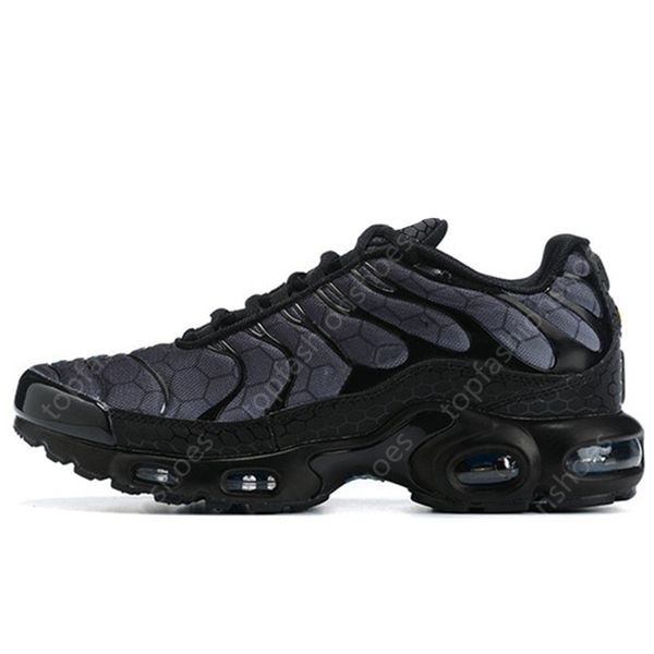 blue hex tns