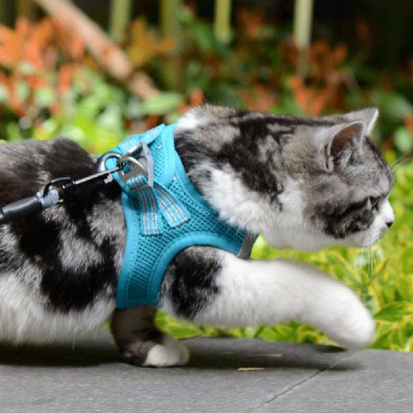 

pet vest harness leash adjustable mesh vest dog cat harness collar chest strap leash harnesses with traction rope xs s m