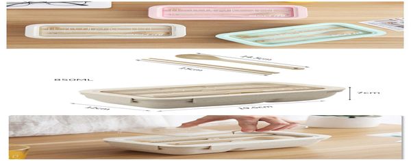 

oneup microwave lunch box for kids school eco friendly bpa wheat straw bento box kitchen plastic food container lunchbox wmtxzg